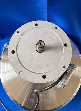 源头验工厂TDYCL124D磨抛机DHK电机220V试仪器电7机