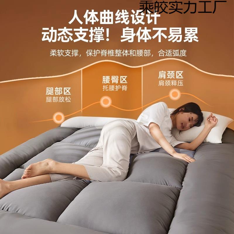 地垫垫睡榻榻米地铺用床塌垫软垫家用卧室出租房可折叠12345678不