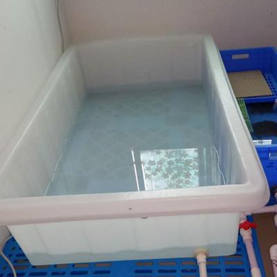 加厚水筋水箱塑料长方家用储牛水缸大号罐水产养殖形养龟581鱼盆