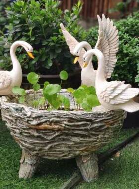 创意阳台ify2H5DD装饰可爱天园林水花盆水仙花鹅铜钱院花庭园培树