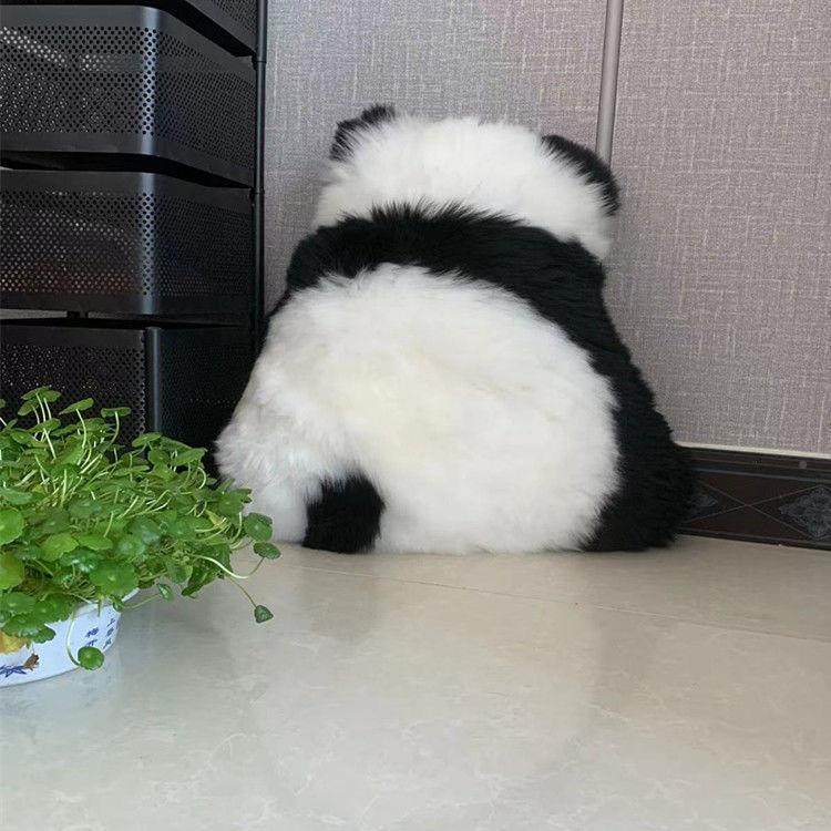 pxx10035纯羊毛可爱家居坐地厅毯垫沙发坐垫抱枕靠垫卧靠室客黑白,居家布艺,抱枕被,淘宝优惠券,粉丝福利购,淘宝优惠卷