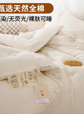 QM02398A类全儿级大豆纤维被子拉子链款二合一母四季被芯纯棉棉秋