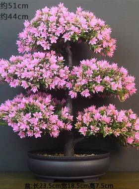 仿真摆景假花绿植造花景假植物盆栽室内观jd101312塑料花艺客厅盆