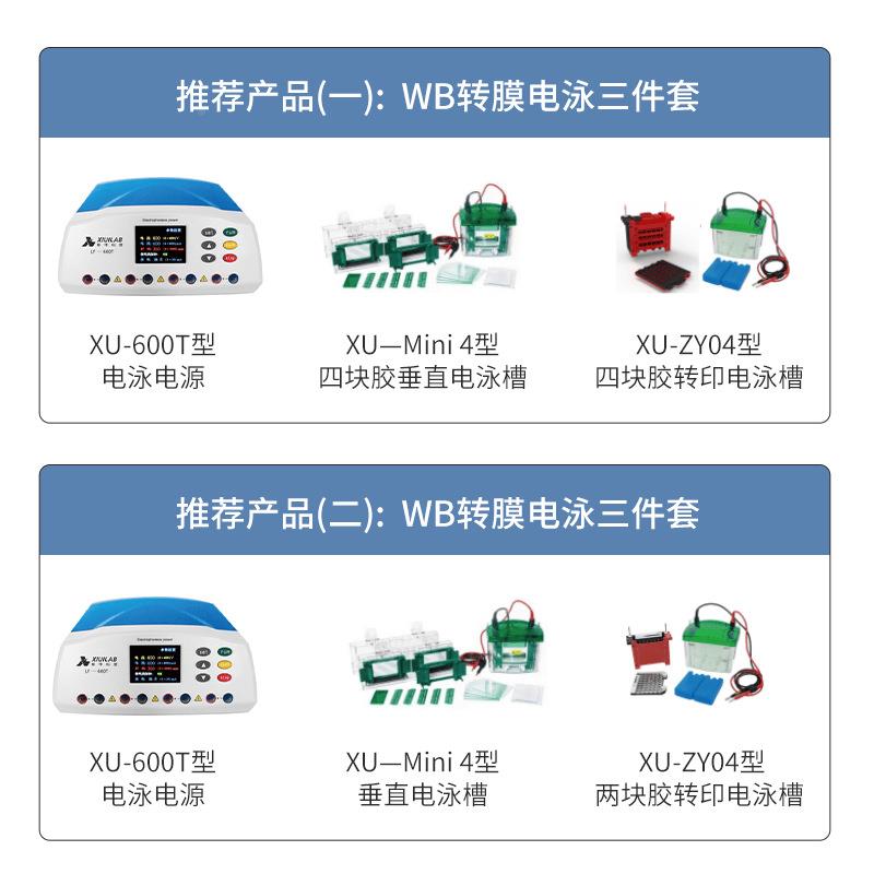 垂科技电仪电泳小型水平电泳槽电源凝胶转泳直印槽蛋白槽实验室用