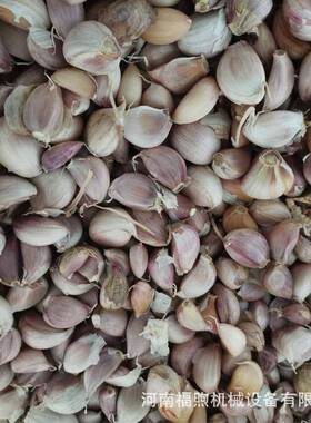 厂家直销气动馆大蒜破分瓣机种FXFB-100大蒜瓣机视频不锈钢餐剥蒜