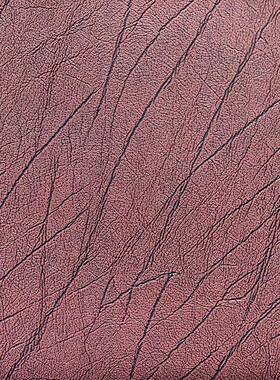 能康负离子托pkcd-gz2玛加热光子床垫琳碧玺量石璞远红外线超长波