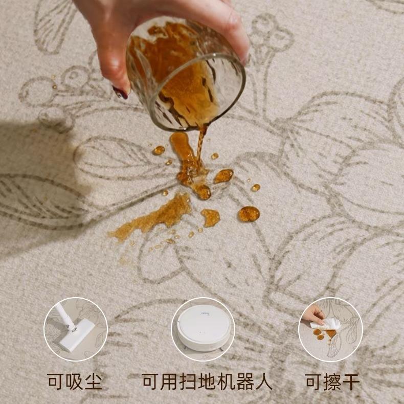 地毯客厅2025款室式免洗可擦卧室房间新地垫防水防污KIE内厚法茶