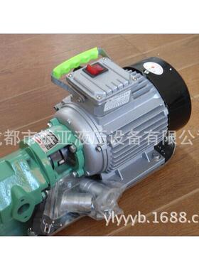 WCB-30手提式C轮泵，不锈微型XSD输油泵，W钢B-100自吸齿轮齿油泵