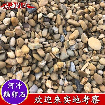 地天无品牌/然鹅卵产石盆栽铺面色石花园别墅铺路石河石冲彩鹅卵