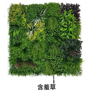 仿AYW真草植物墙立体绿植墙真墙假花皮装饰绿色人仿造草坪背景网