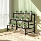 梯形式 兰花架子草盆架BBN花店鲜架花展示架落地盆室兰内多层置物