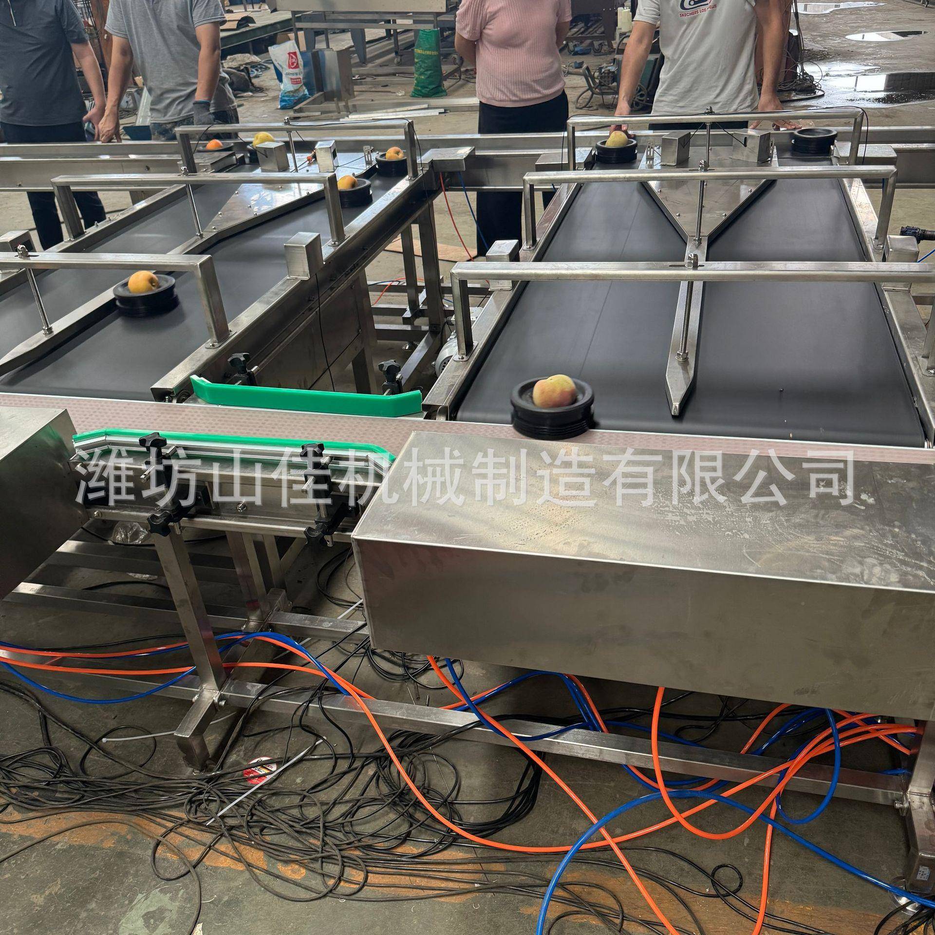 秋果月梨大无损选果机LRE枇杷释迦量分选机型西重瓜哈密瓜分选机