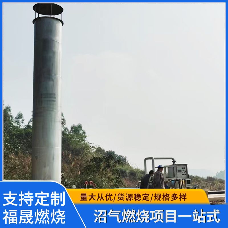 新款沼气气液分离器设备