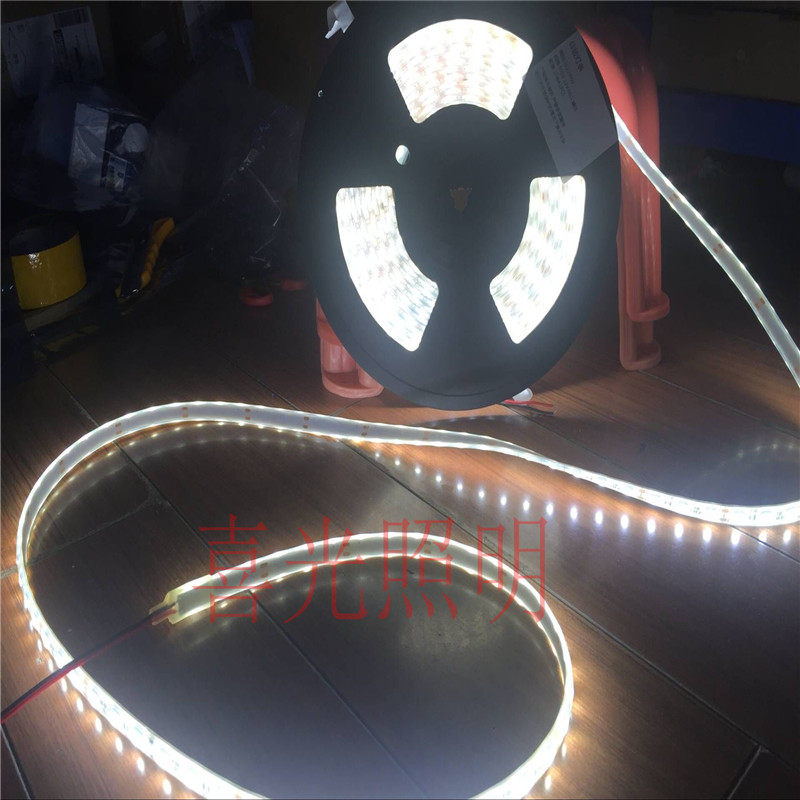 12V50c50灌胶低压水底室外防水灯带水池鱼缸灯带一条10米 IP68防