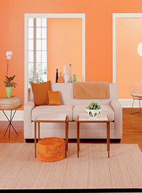 内墙桔色橘色香橙色内墙环保无味乳胶漆橙黄色浅黄淡黄色环保涂料