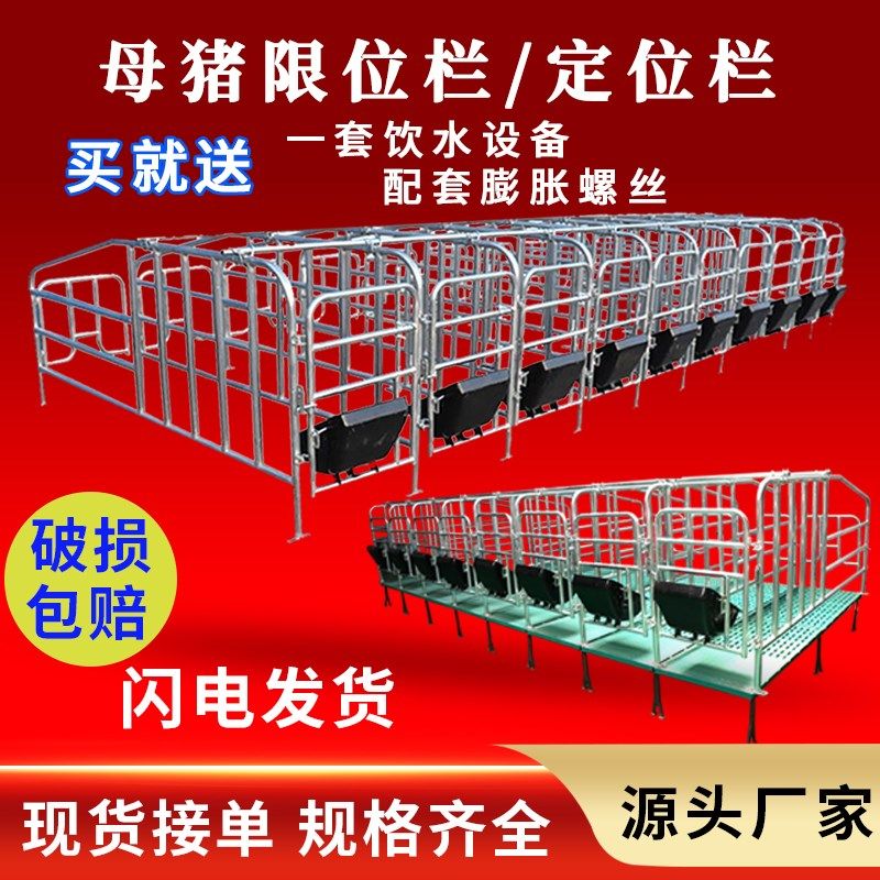 母猪限位栏落地式简易产床栏加厚热镀锌带粪板母猪定位栏养殖设备
