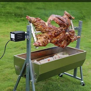 烤全羊炉子专用炉烤羊排架子全自动旋转烤羊腿炉T子烤猪烤鸡炉庭