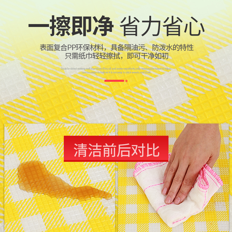 野餐垫户外露营帐篷睡垫加厚防水便携沙滩垫子野炊郊游草坪防潮垫