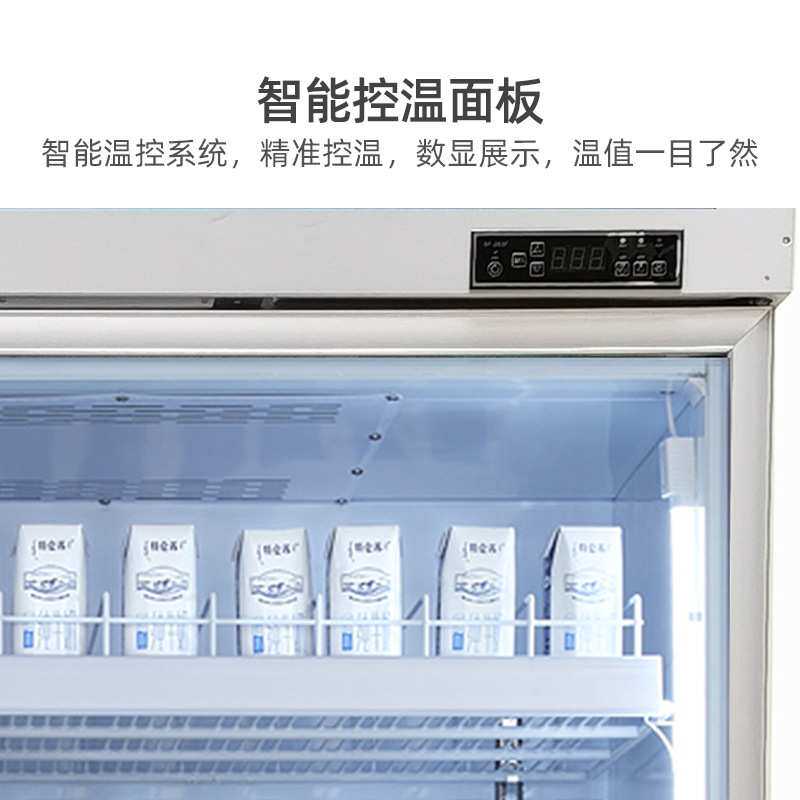 冰力鲜冷柜厂家直销促销款两门饮料展示柜商场小卖部士多饮料冰箱