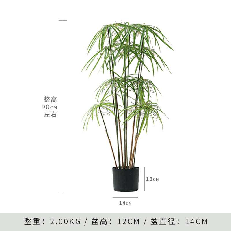 高级仿真风车草大型仿生植物水竹盆栽造景客厅落地假绿植装饰摆件