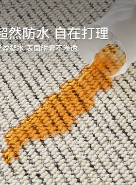 Eully 万象羊毛防水地毯客厅现代简约抗污可擦洗高级感耐脏地毯