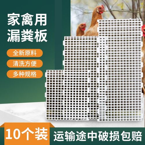 鸡用漏粪板塑料鸡舍家禽漏粪网格板鸡鸭鹅漏屎地垫养殖鸽子漏屎板