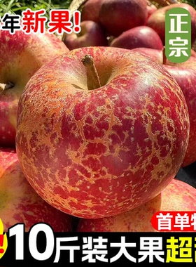 云南昭通丑苹果正宗冰糖心苹果当季水果整箱10斤大果红富士脆甜