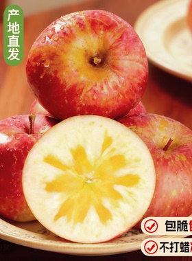 2025年云南昭通丑苹果10斤冰糖心苹果红露富士苹果水果当季整箱