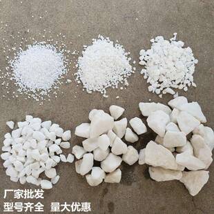 白石子园林铺面微景观造景不发火地面用白云石白碎石