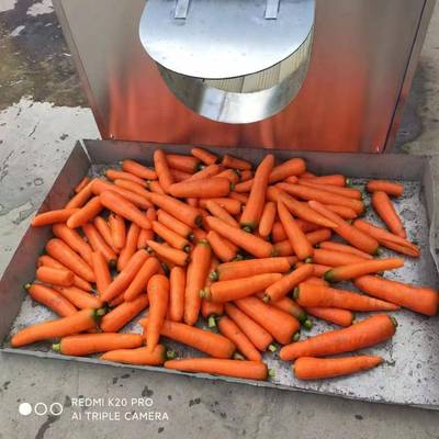 果蔬毛辊清洗机根茎类去泥清洗机红薯土豆去泥沙清洗设备