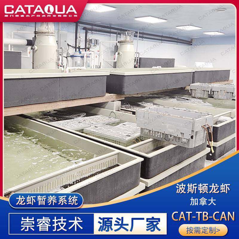 加拿大波斯顿龙虾暂养系统海鲜PP暂养池龙虾养殖蛋白质分离器,畜牧/养殖物资,特种养殖设备,淘宝优惠券,粉丝福利购,淘宝优惠卷