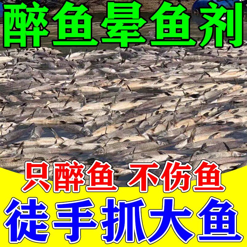 醉鱼药特效晕鱼药不伤鱼神器鱼用麻醉捕鱼专用缺氧药封氧剂醉鱼灵