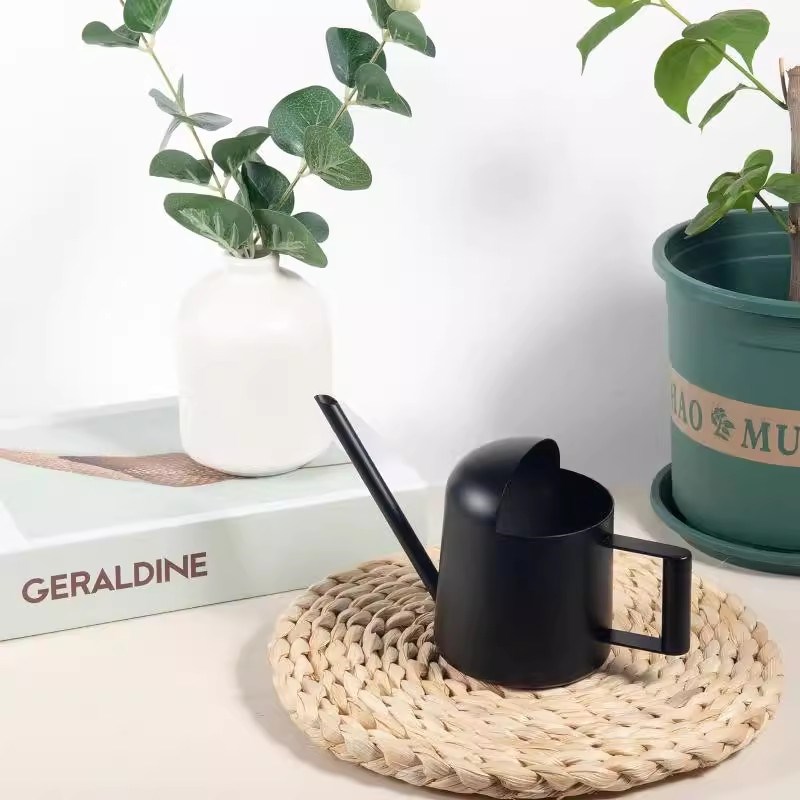 迷你浇花水壶儿童桌面多肉盆栽不锈钢洒水壶家用室内金属小喷壶