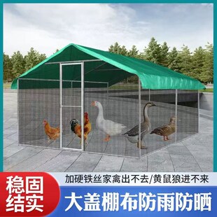 养鸡棚家用室外搭建组装鸡舍养鸡舍防晒大L棚多用途防雨棚鸽舍大