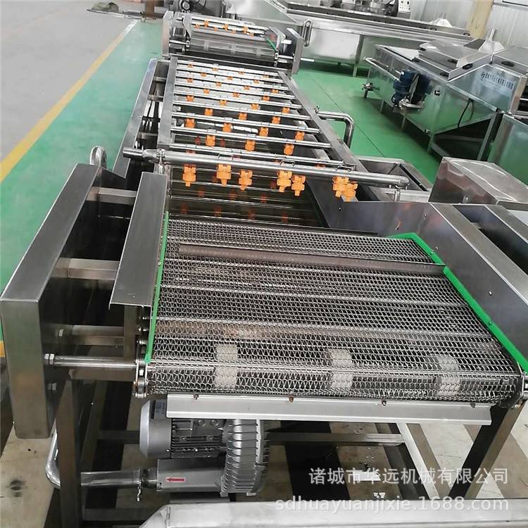 华远蔬菜清洗机  大姜去皮设备 果蔬清洗深加工流水线生姜