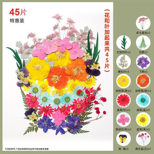 干花DIY材料包儿童手工团建活动压花彩妆滴胶植物大组合相框手帐