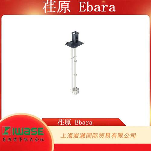 跨境EBARA荏原，VD垂直双吸泵VD500铸铁不锈钢电机驱动工业泵