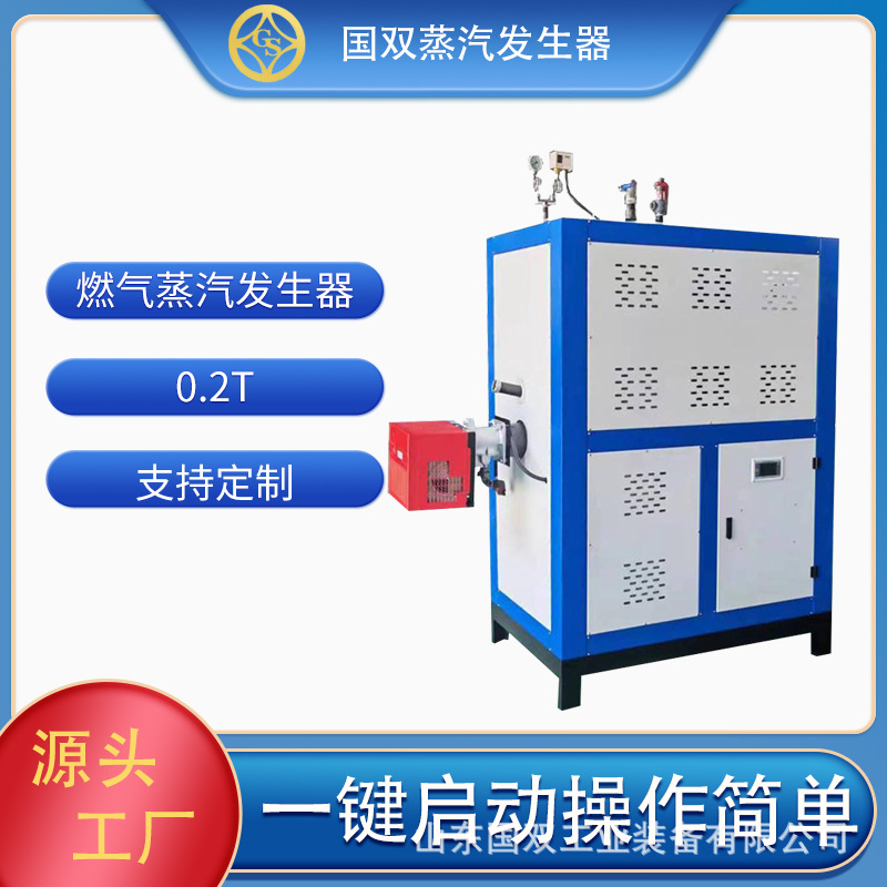 蒸煮漂烫杀菌蒸汽锅炉 国双燃气蒸汽发生器
