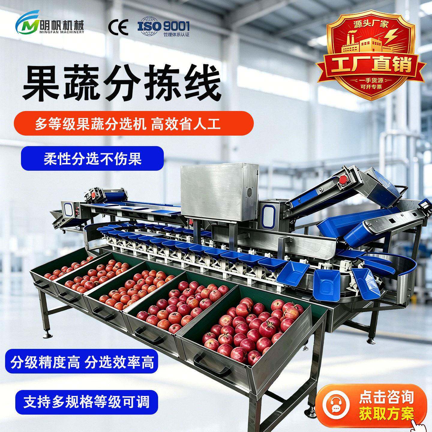 西红柿地瓜重量分选机土豆鸡蛋自动分级设备苹果清洗称重分选包装