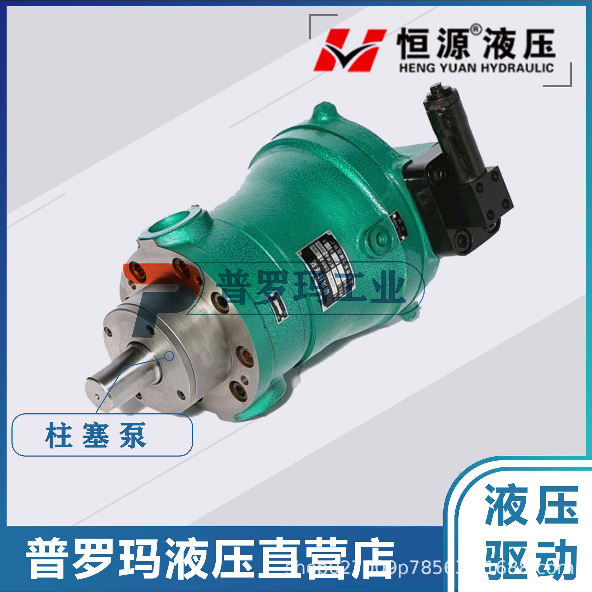 10PCY25PCY63PCY80PCY100PCY160PCY250PCY14-1B轴向柱塞泵