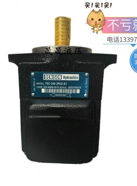 丹尼逊叶片泵T6D-028/031/035/038-3L00/3L01/3L02/3L03-A1/B1/C1