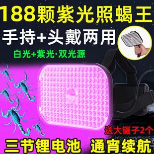 2023新款户外头戴式照蝎子灯专用大功率紫光灯充电超亮紫光高亮度