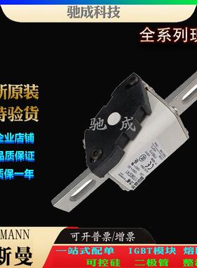 巴斯曼170M3747 170M3758 170M3759 长期出厂价格 快速熔断器