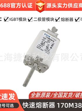170M3816 170M3816D 170M3817 电子元器件 快速熔断器 现货直发