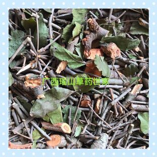 银杏树寄生 公孙树寄生灵眼寄生白果寄生佛指柑寄生干品500克