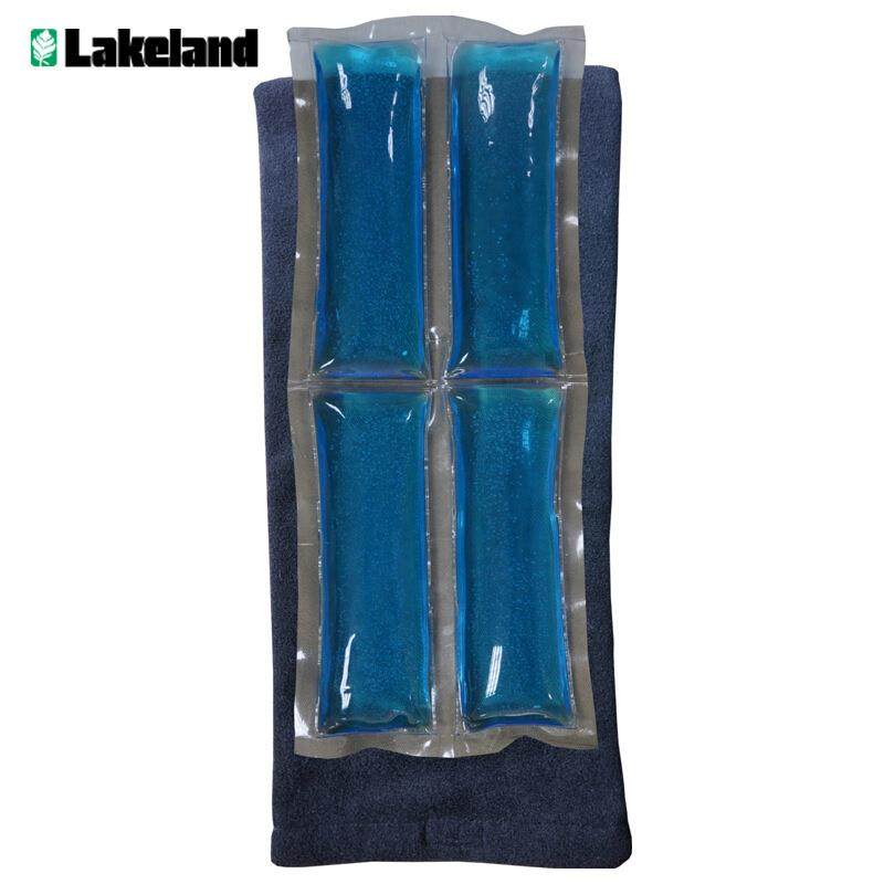 雷克兰00059经济型降温剂 蓝色结冰型无味凝胶（1套4组）降温背心,鲜花速递/花卉仿真/绿植园艺,割草机/草坪机,淘宝优惠券,粉丝福利购,淘宝优惠卷