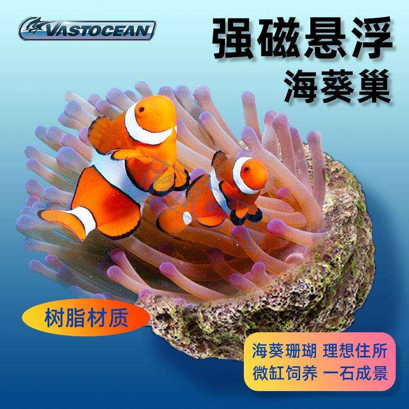 VASTOCEAN培菌悬浮海葵巢磁吸奶嘴海葵窝地毯窝海水鱼缸造景石