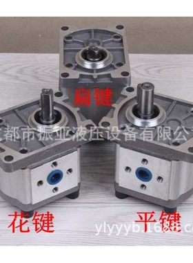 CBN-E316齿轮泵，液压cbn-e(F)316齿轮油泵，四川输油泵