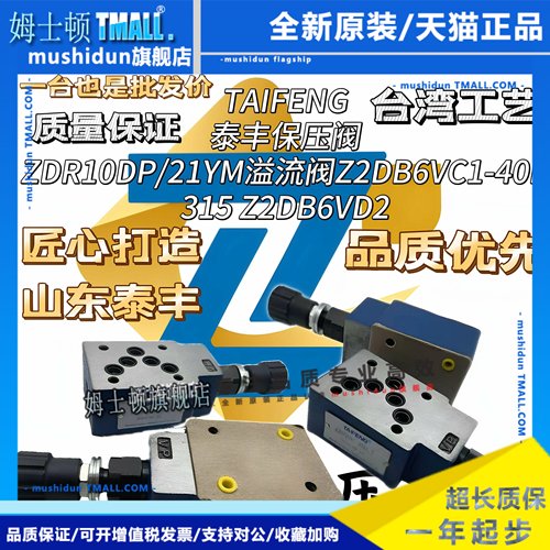 山东泰丰液压叠加式溢流阀Z2DB6VC1-40B/315双向调压Z2DB6VD DB10