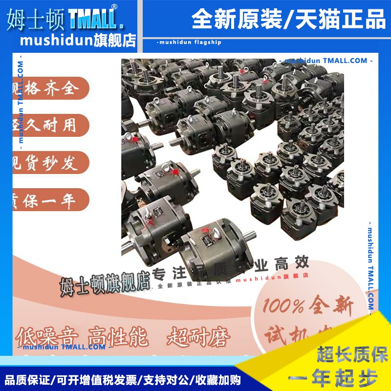 海特克内啮合齿轮泵HG2-160/125/100/80-01R-VPC-SUNNY伺服油泵